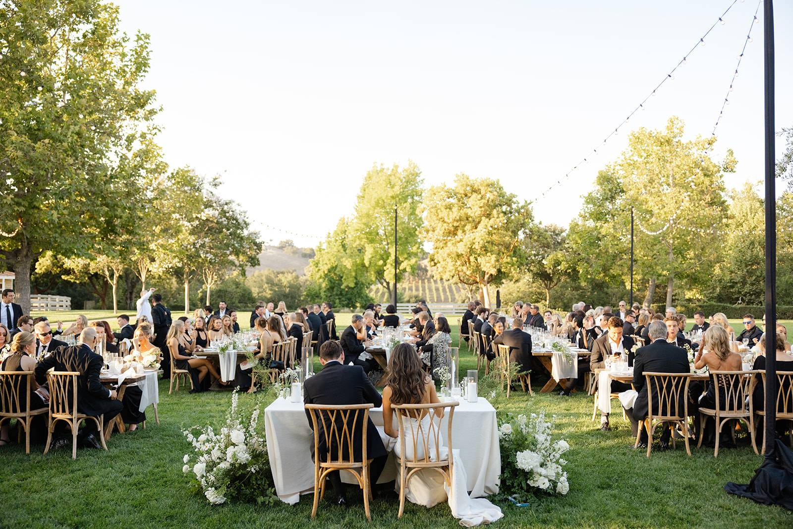 Guests dining on the lawn beneath trees and string lights.