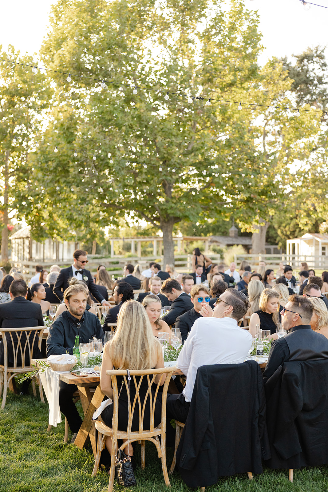 Wedding guests seated at tables on the lawn in late-afternoon light.