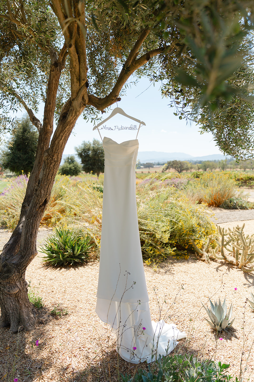 Zoe’s wedding dress hanging beneath a tree with the ranch landscape behind it.