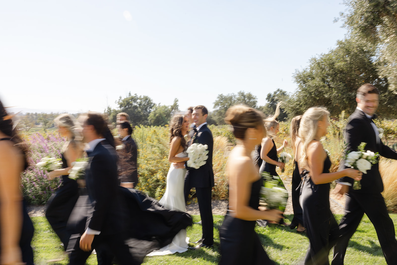 The wedding party moving across the lawn in the afternoon light.
