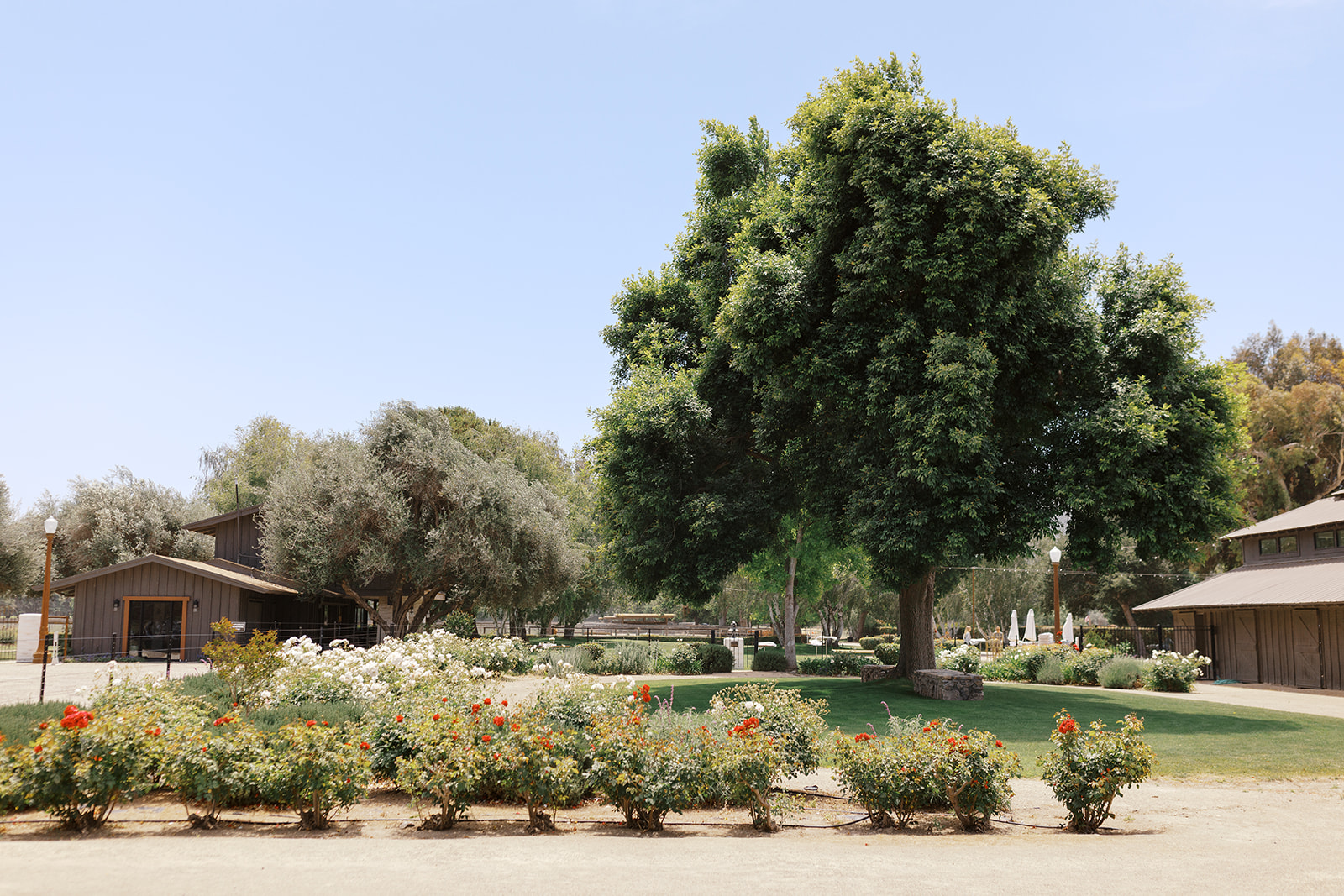 Trees and landscaped gardens at Whispering Rose Ranch