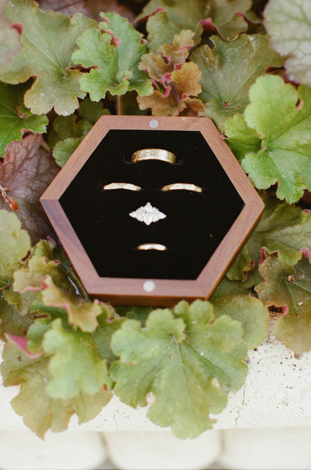 Film photograph of wedding rings in a wooden hexagonal box